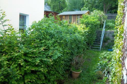 Apartamento Ferienwohnungen Bochmann