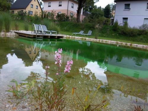 Apartamento Ferienwohnungen Bochmann