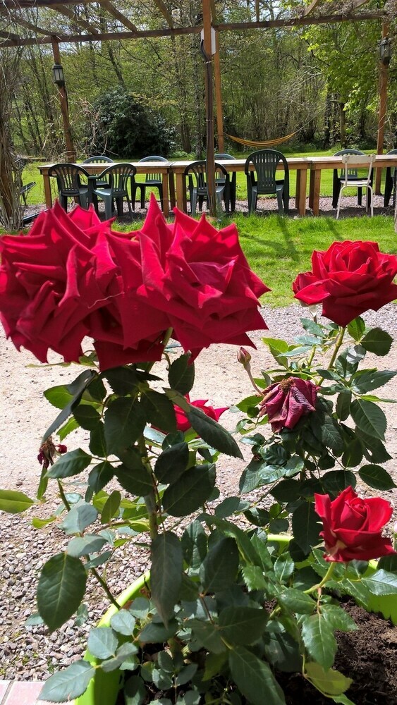 Bed & Breakfast Le Moulin de Douzy