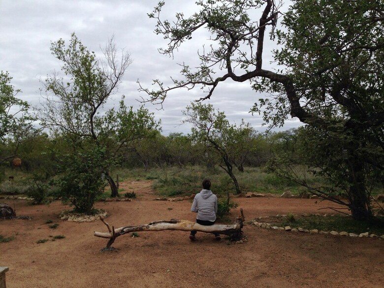 Posada The Baobab Bush Lodge