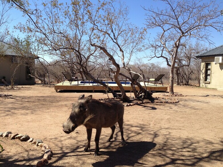 Posada The Baobab Bush Lodge