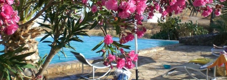 Cortijo Torreblanca