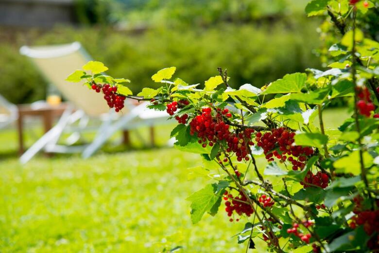 Bed & Breakfast Le Logis D'az�