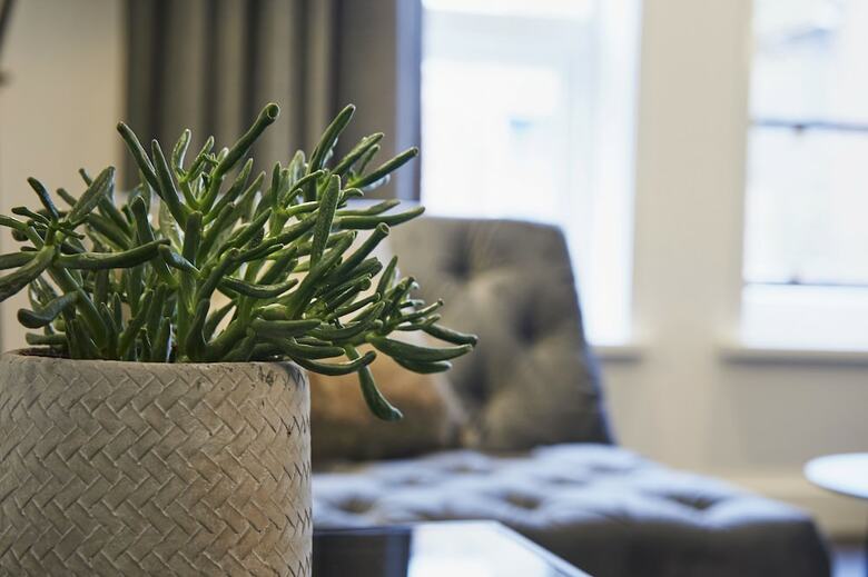 de Bank - Short Stay Apartments