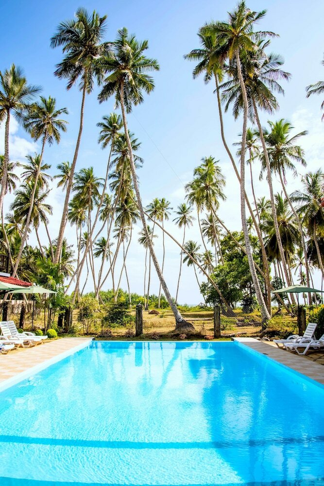 Hotel Green Parrot Beach Resort