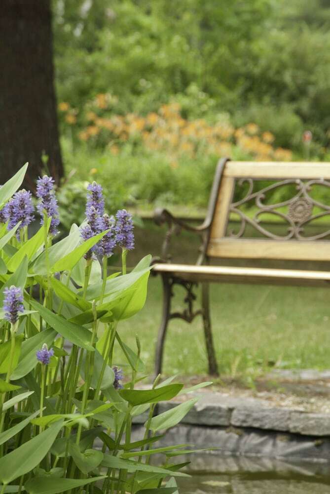 Golden Stage Inn Bed And Breakfast