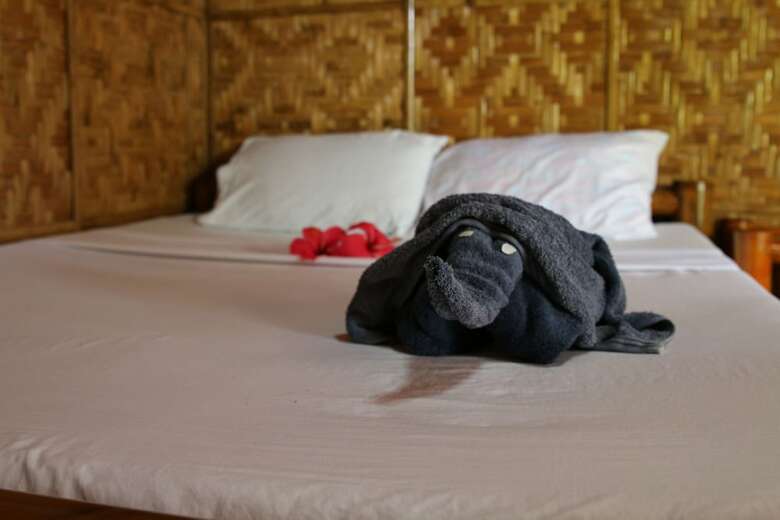 Hotel Casa Keja