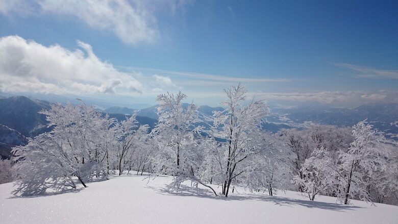 Bed & Breakfast Nozawa Dream