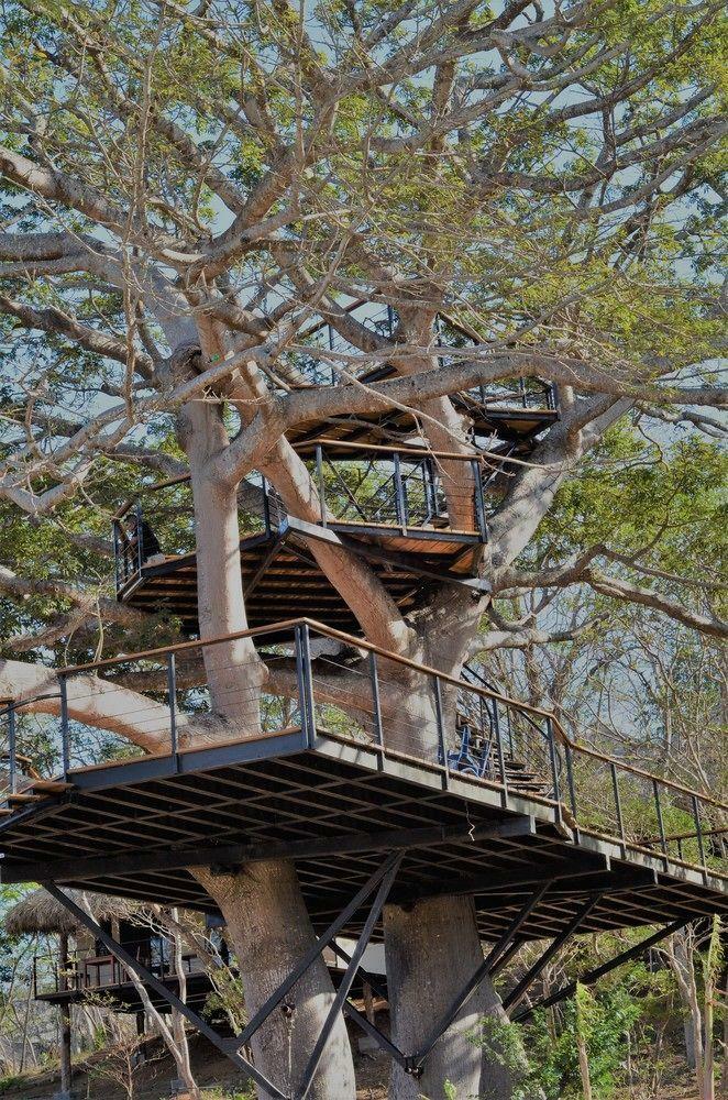 Hotel Treecasa Resort