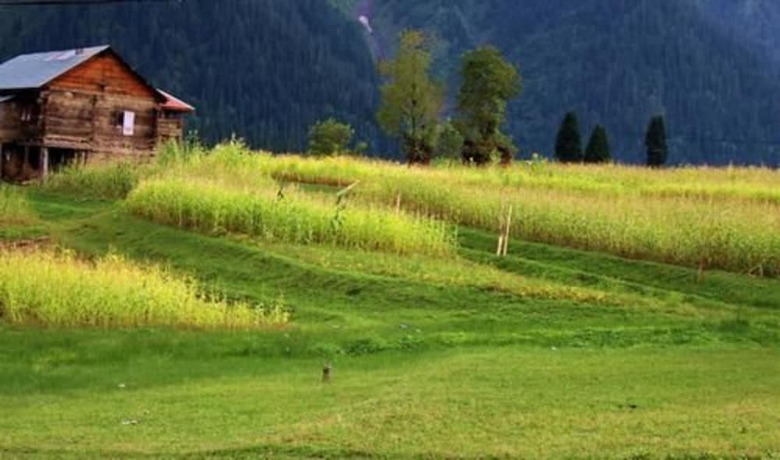 Hotel Sharda Resort