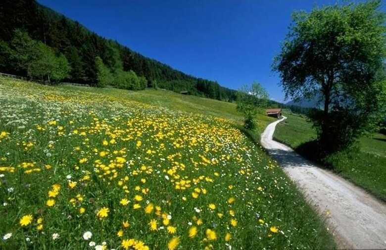 Apartamentos Appartment Gletschergl�ck