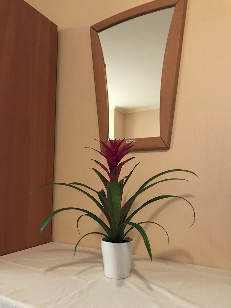 Hostal Garni Hotel Viktoria