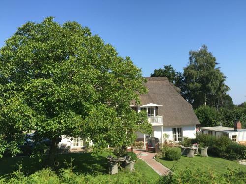 Apartamento Sch�ferkate Sierksdorf