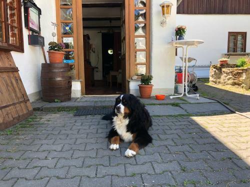 Hostal Gasthof & Pension Untere Rauner Muehle