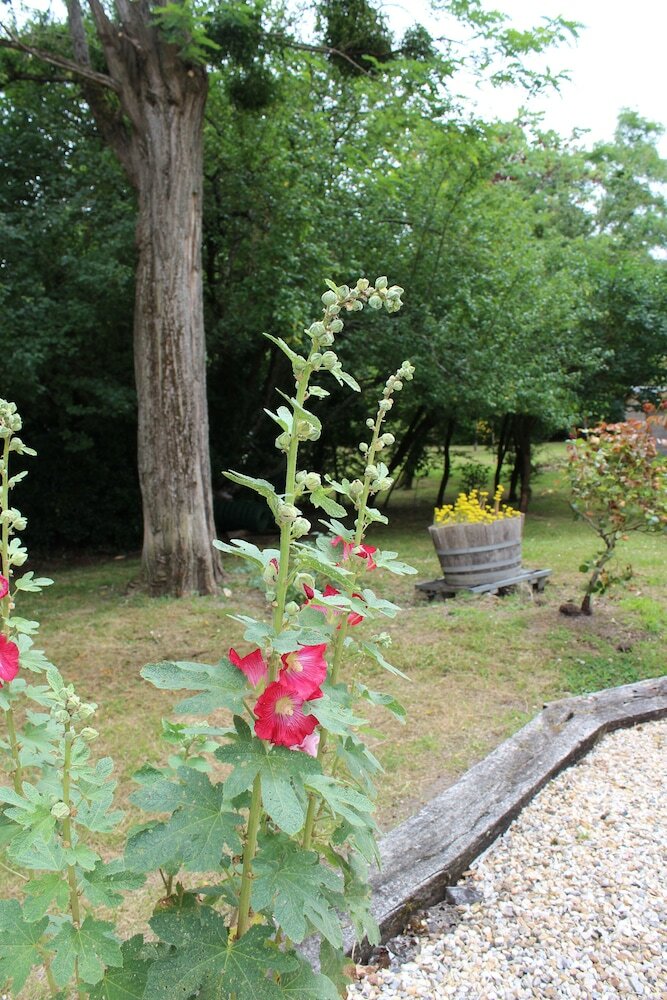 Bed & Breakfast Chambres D'h�tes Du Jardin