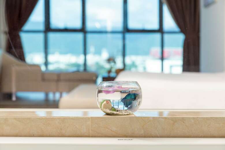 Luxtery Hotel