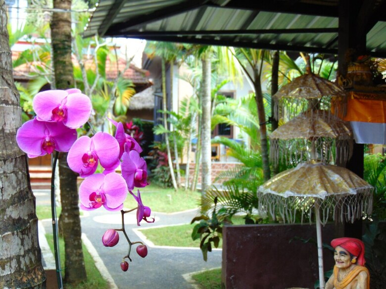 Bed & Breakfast Leggies Bungalows