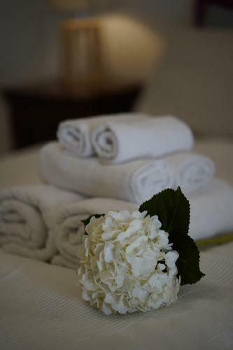 B&B Bivona