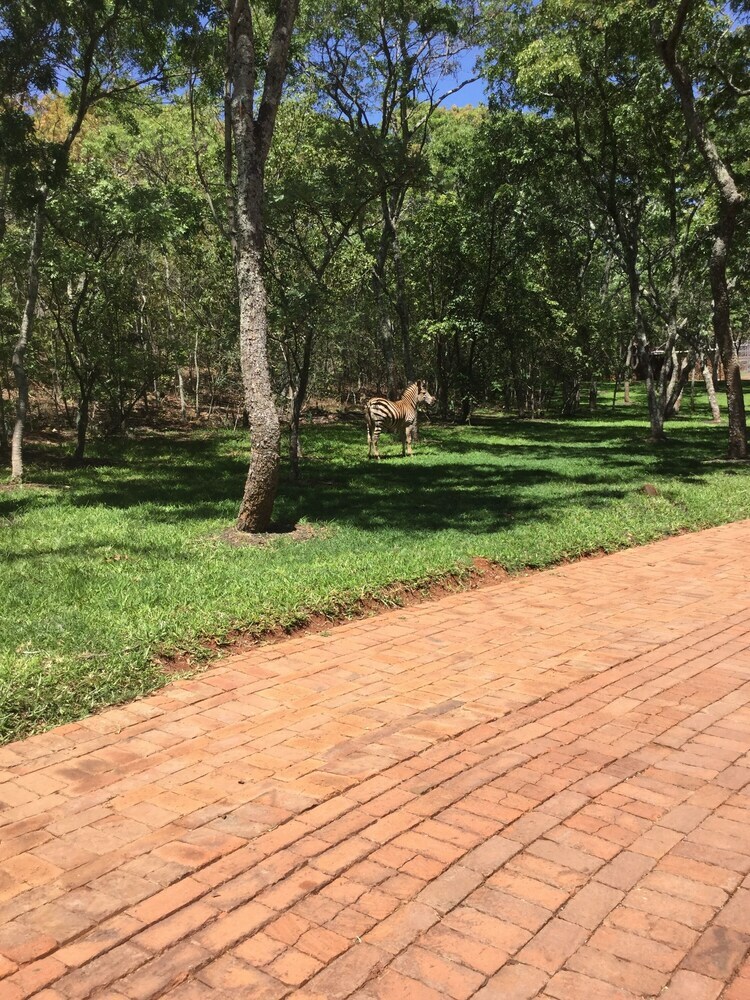 Posada Manna Resorts