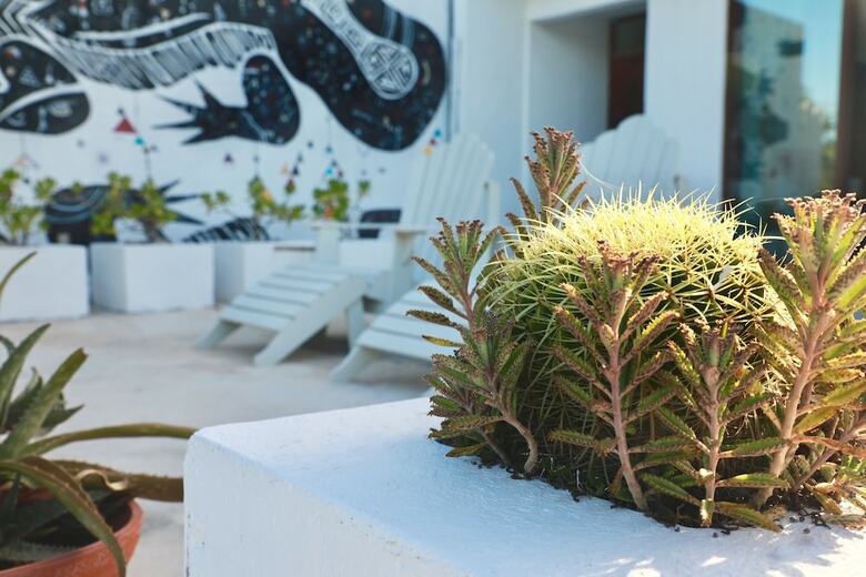 Hotel Residencia Gorila