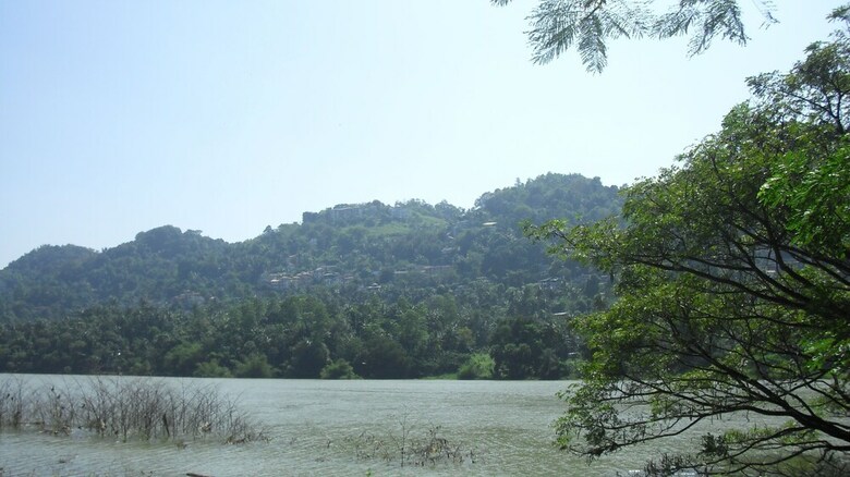 Aparthotel Riverside Homestay Apartments