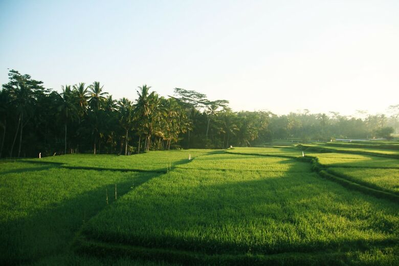 Hotel Ubud Greenfields By Caviar Class