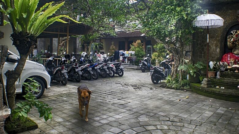 Hostal Lagas Hostel