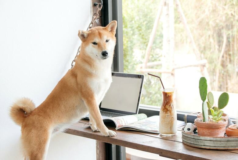 Hotel Pawtel