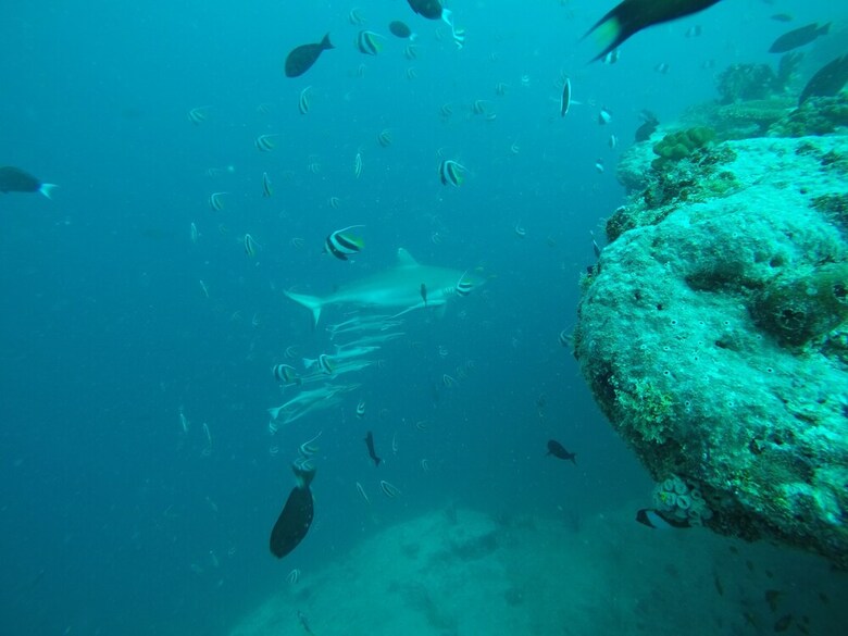 Hotel Scuba Inn