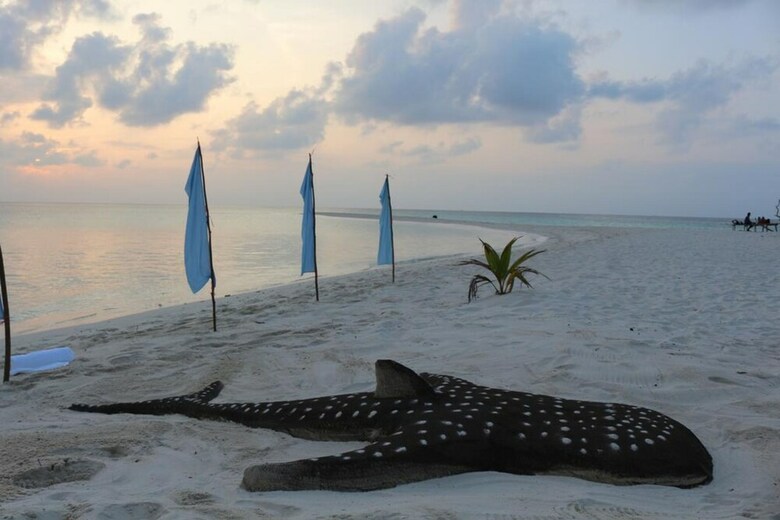 Hotel Scuba Inn