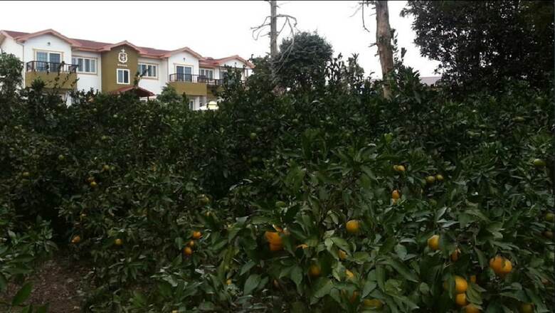 Pension Gyul House