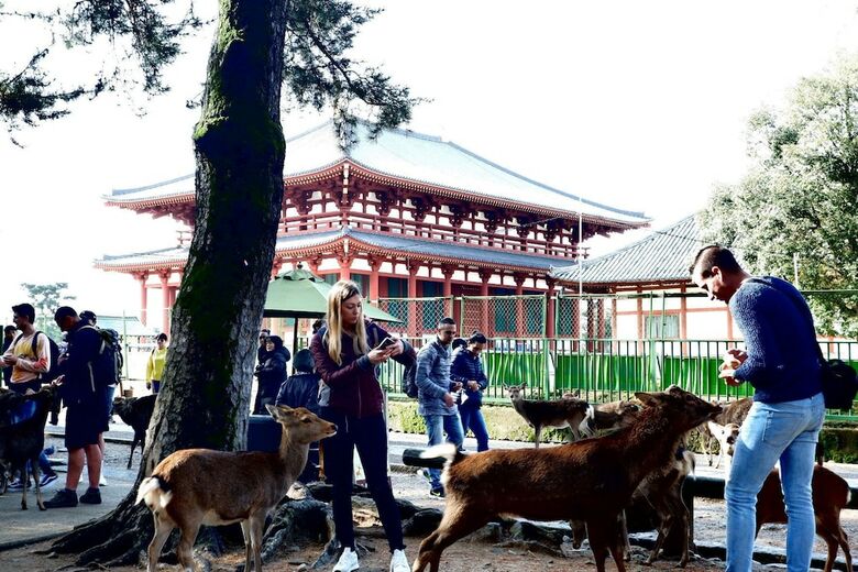 Noborioji Hotel Nara