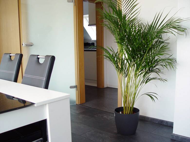Apartamentos La Domus Premium