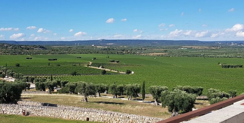 Agroturismo Masseria Amastuola Wine Resort