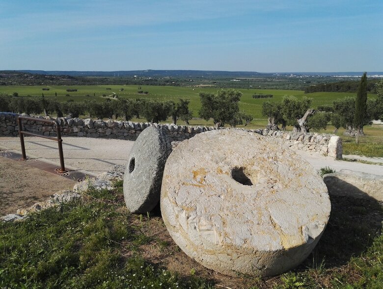 Agroturismo Masseria Amastuola Wine Resort