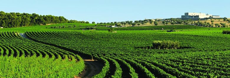 Agroturismo Masseria Amastuola Wine Resort
