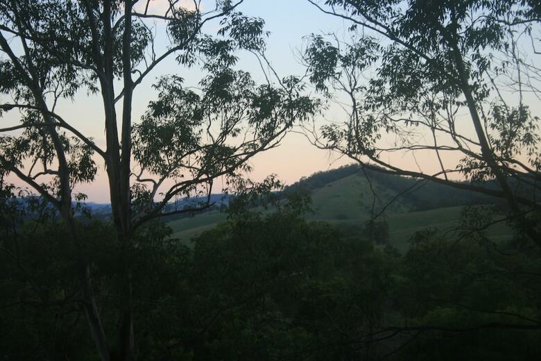 Bluegums Cabins Barrington Tops