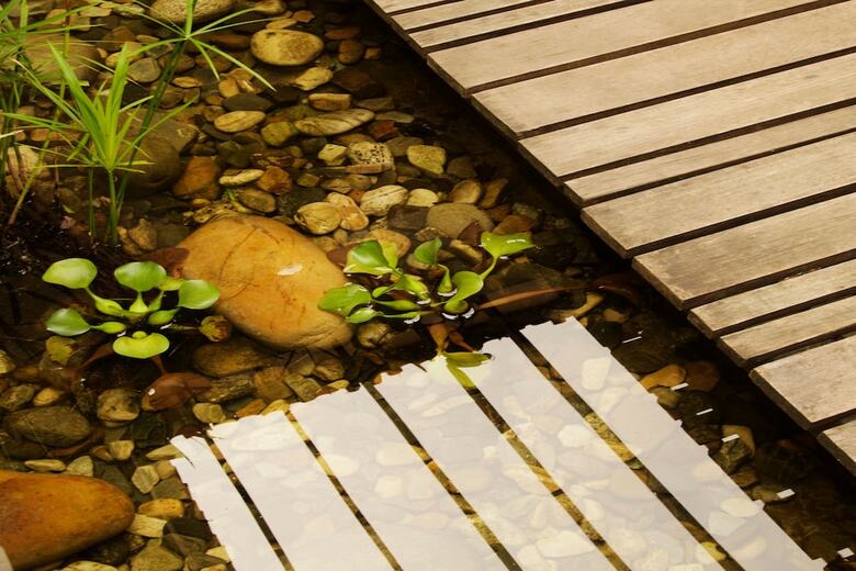 Hotel Kasara Resort - Chitwan National Park