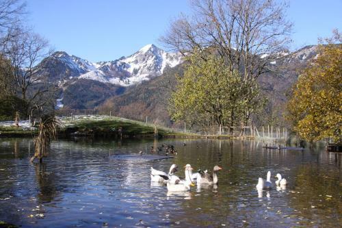 Apartamento G�stehaus H�cher