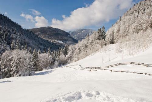 Hotel-gasthof Mauth�usl