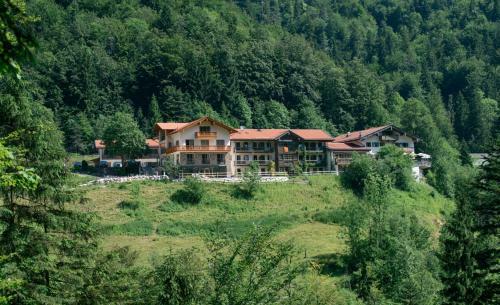 Hotel-gasthof Mauth�usl