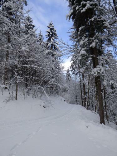 Hotel-gasthof Mauth�usl