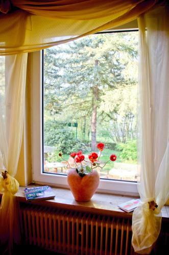 Bed & Breakfast Hotel Helvetia Garni