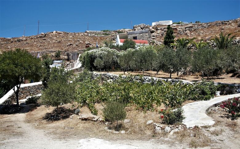 Hotel Mykonos Moussa Suites