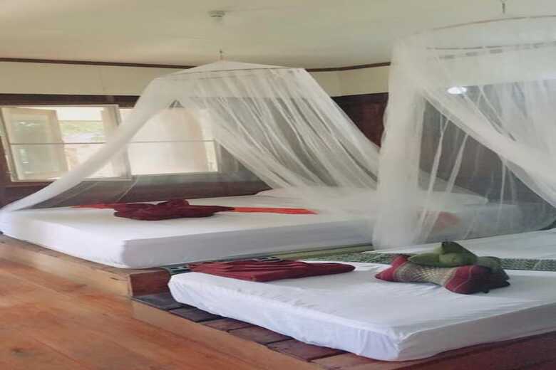 Hotel Banana Resort