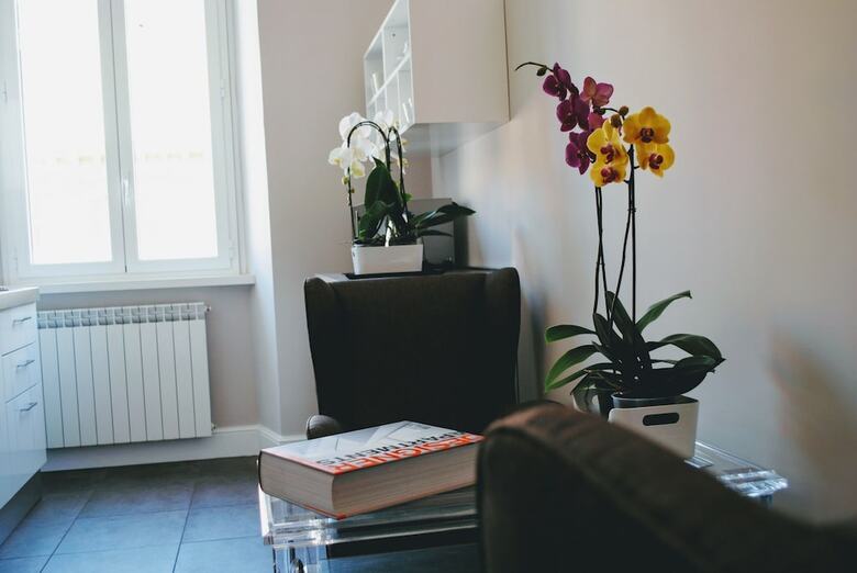Hotel Guest House Cavour 278