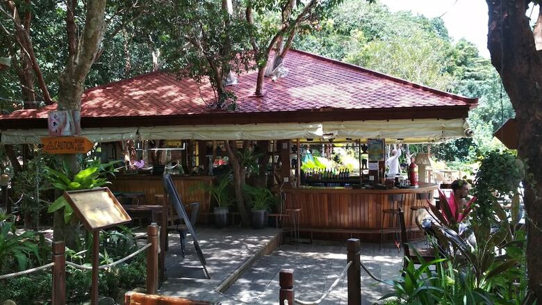 Hotel Tree House Bungalows Resort