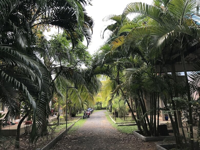 Villa Coconut Bungalow