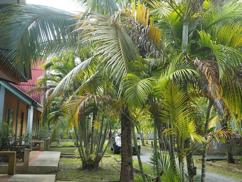 Villa Coconut Bungalow