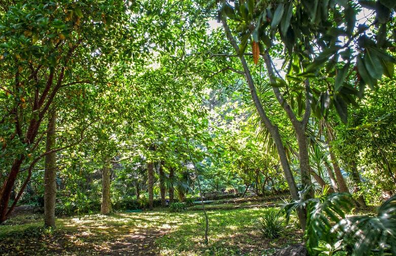 Hotel Etna Botanic Garden